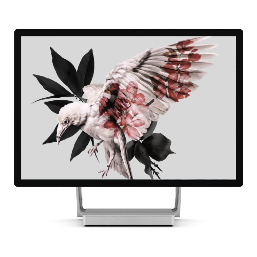 Écran Windows affichant la composition photo d’un oiseau blanc avec des fleurs rouges imprimées sur ses ailes, sur fond de feuilles sombres